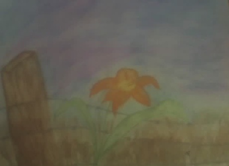460>_2243011